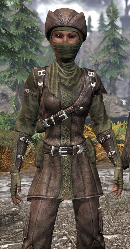 eso master field cartographer costume.
